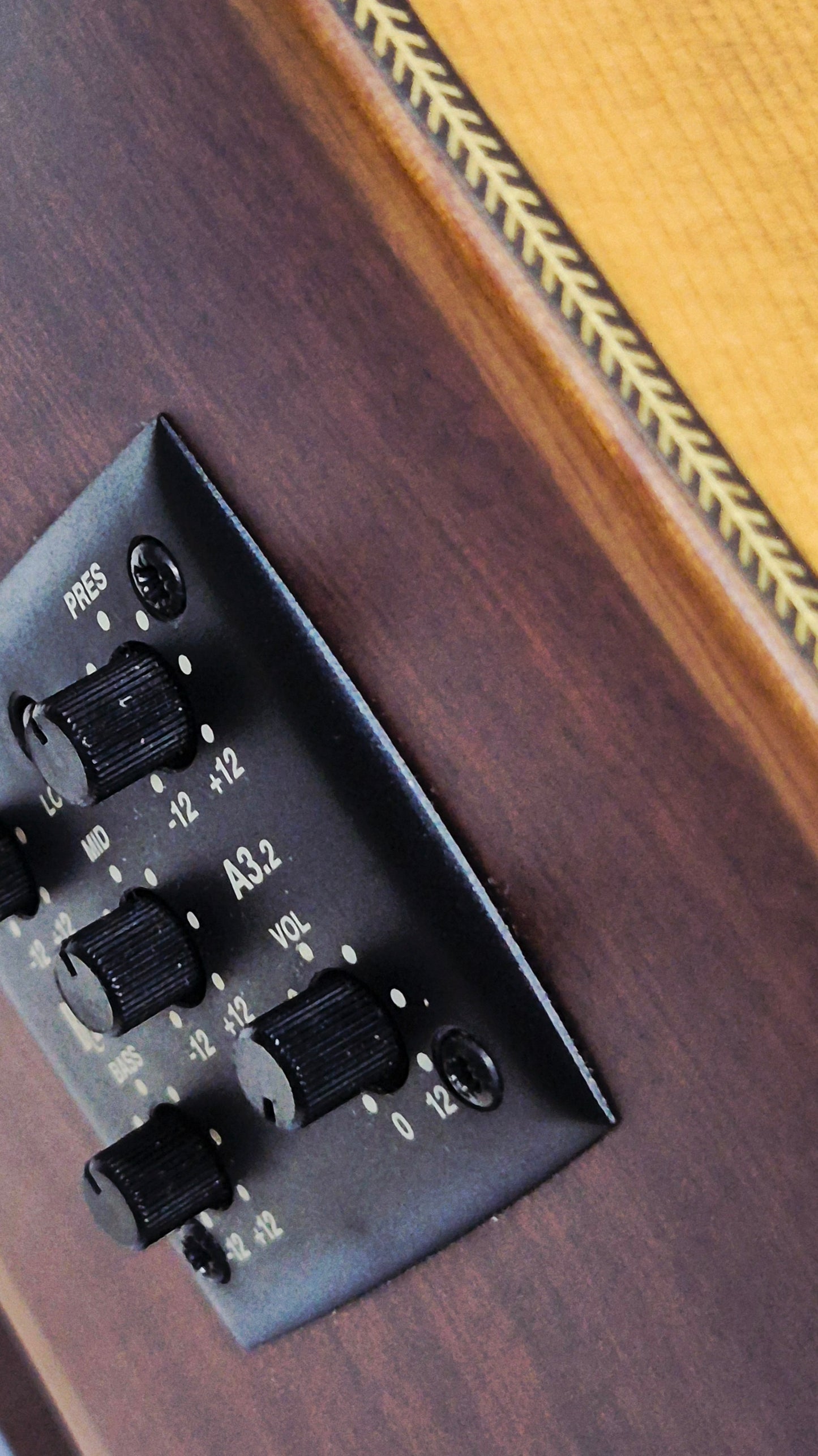 Luthier DS-CE All Solid
