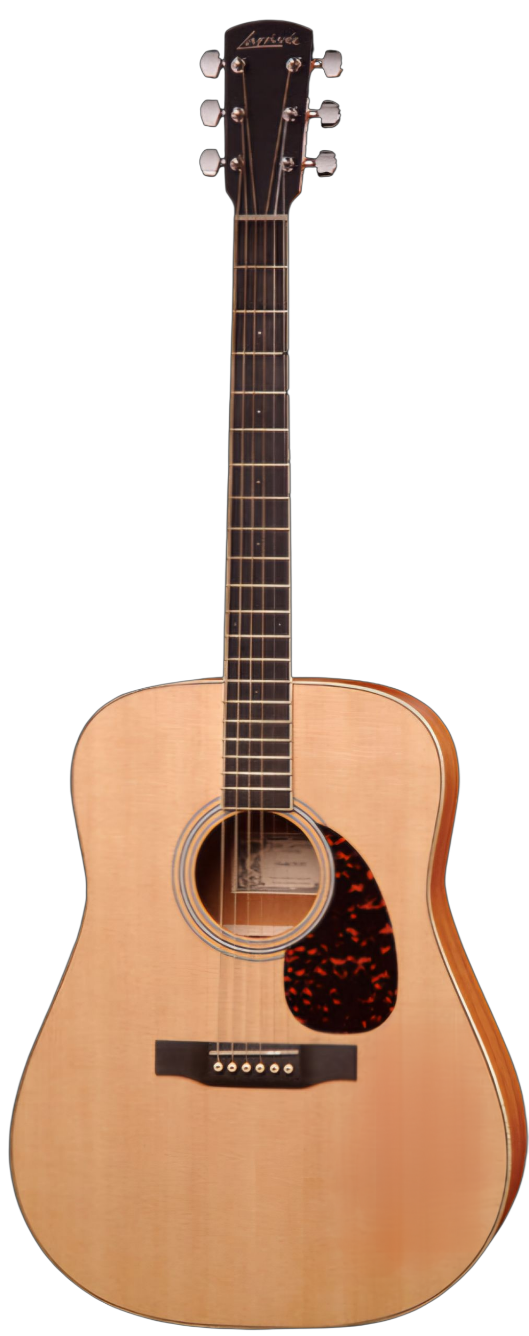 Larrivee D02