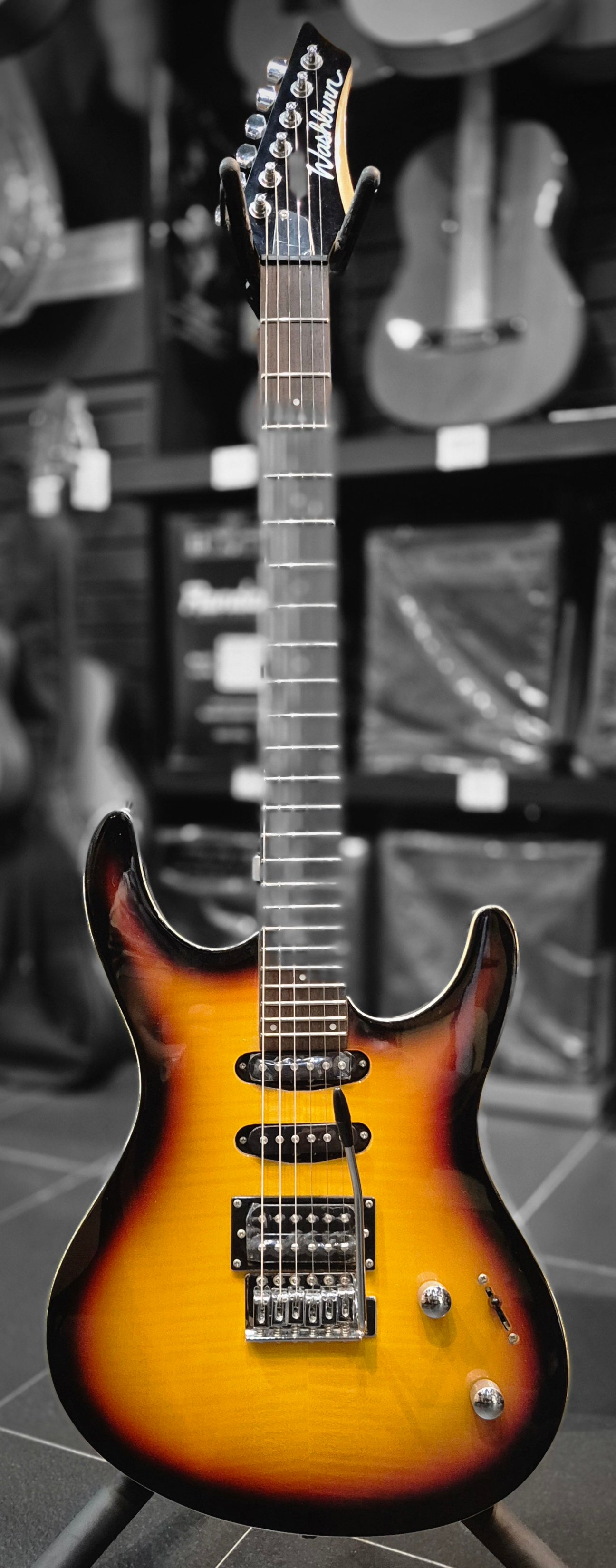 Washburn Rx 25