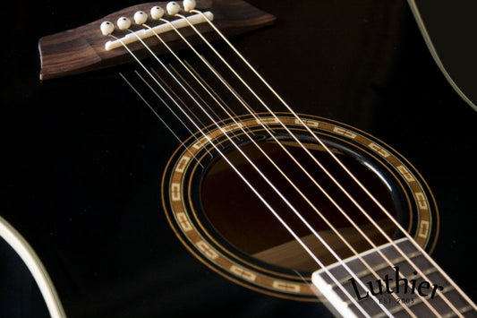 Washburn WD10SBK