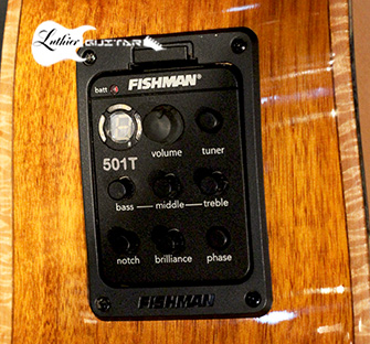 WD55SCE Fishman 501T with tuner.