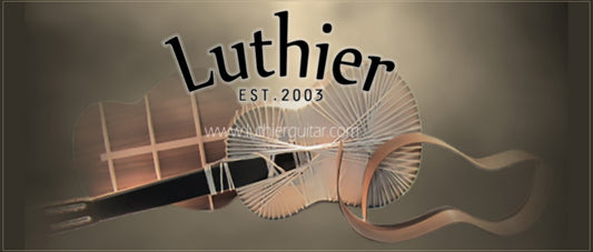 Luthier Guitar Singapore — Est. 2003 | How to choose the right guitar hardcase guide