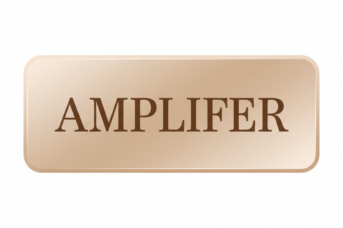 AMPLIFIER