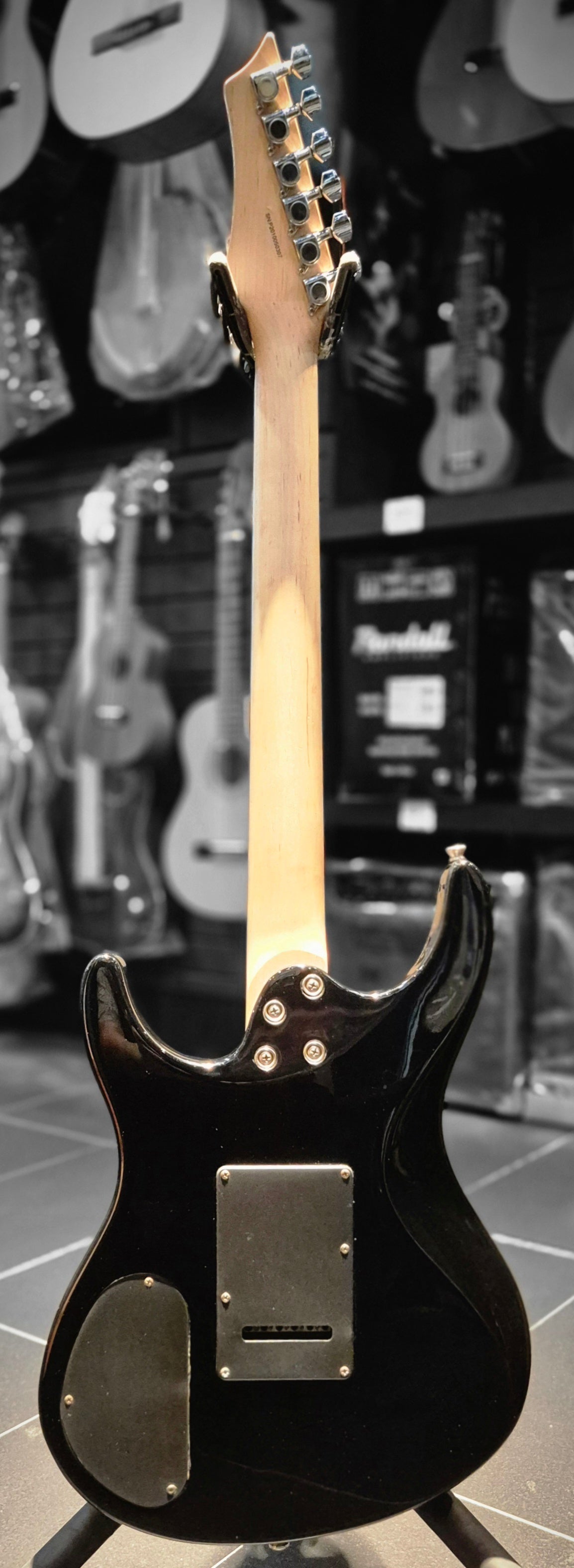 Washburn RX-12 TSB