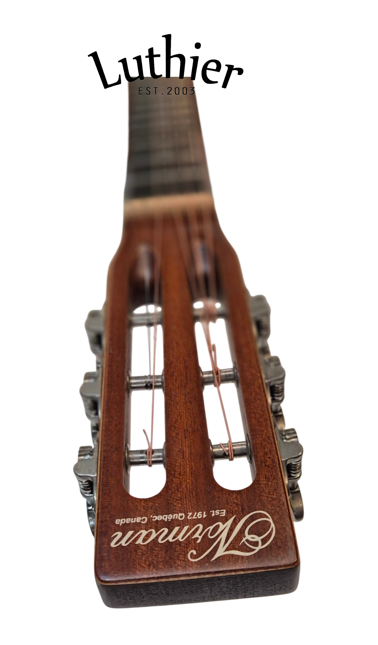 Norman ST40 Folk EQ Fishman Presys