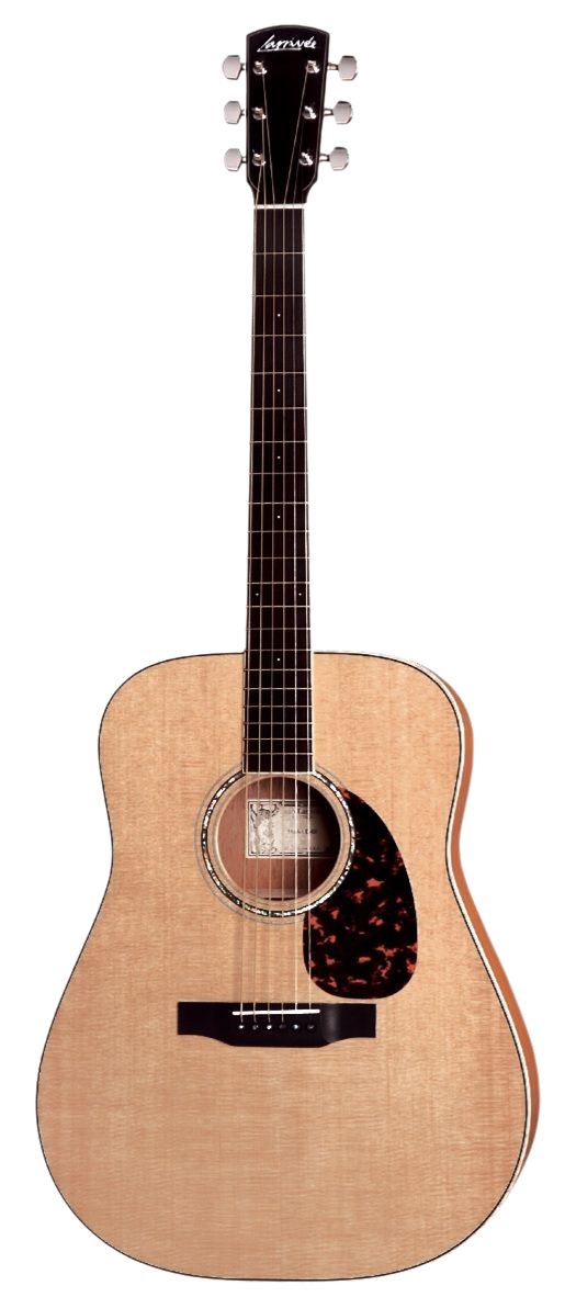 Larrivee D05E