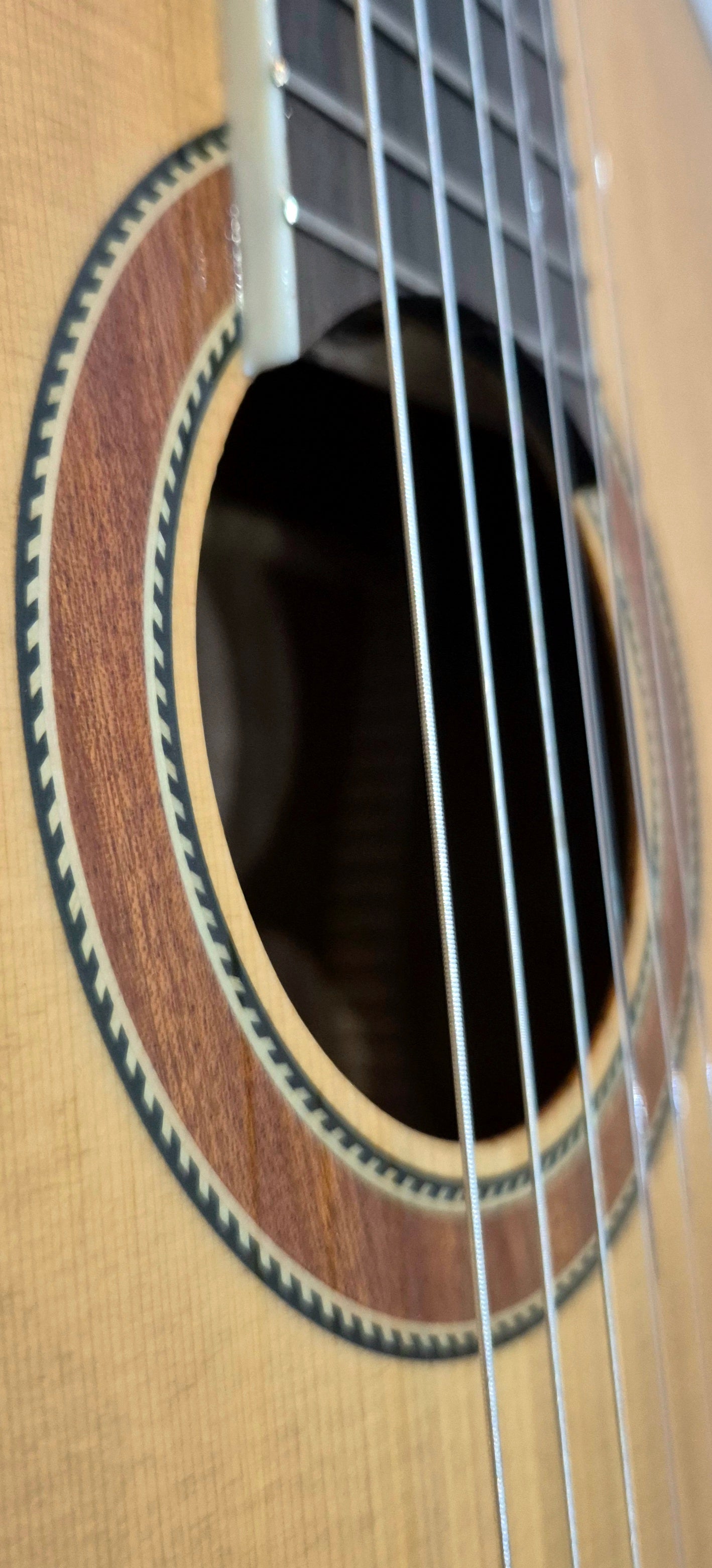 Luthier Domingo
