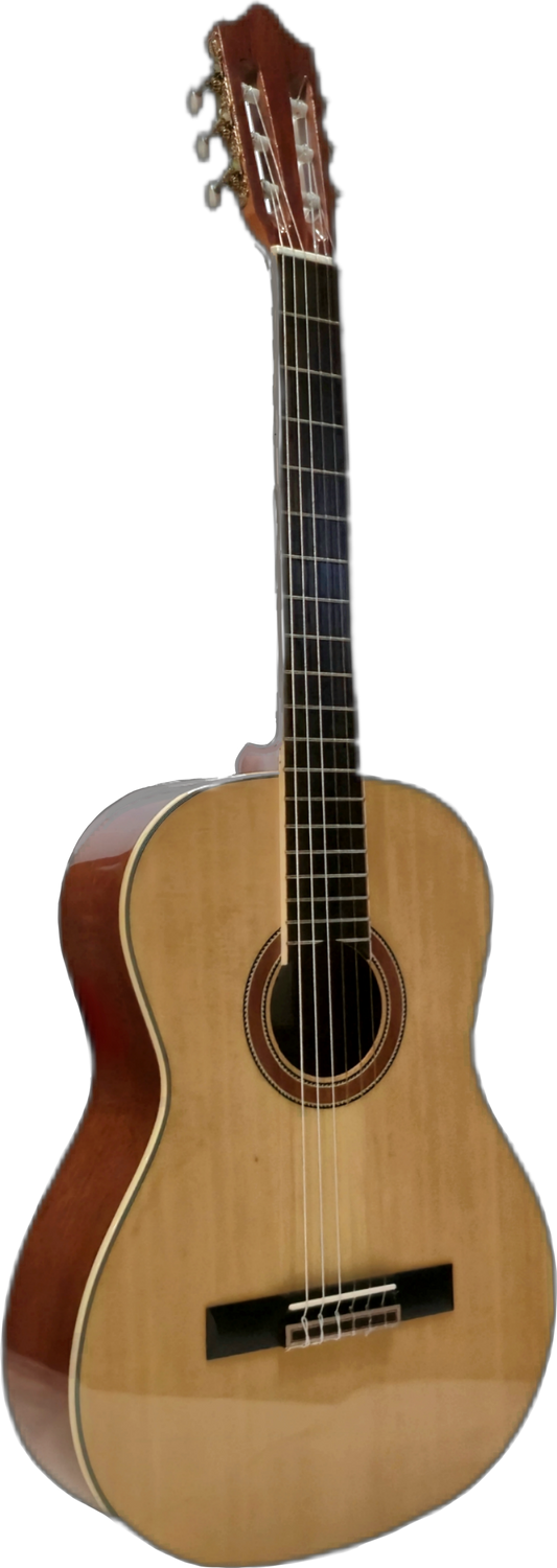 Luthier Domingo