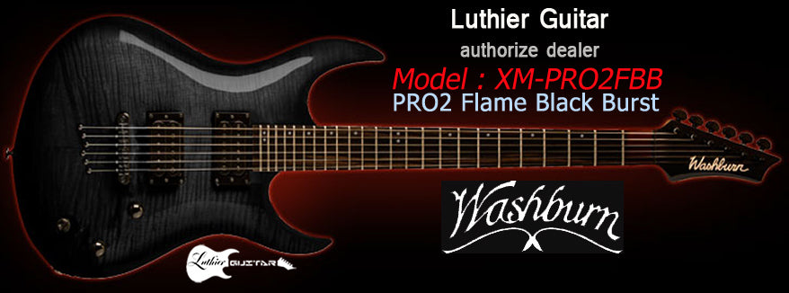 Washburn XM-PRO2-FBB