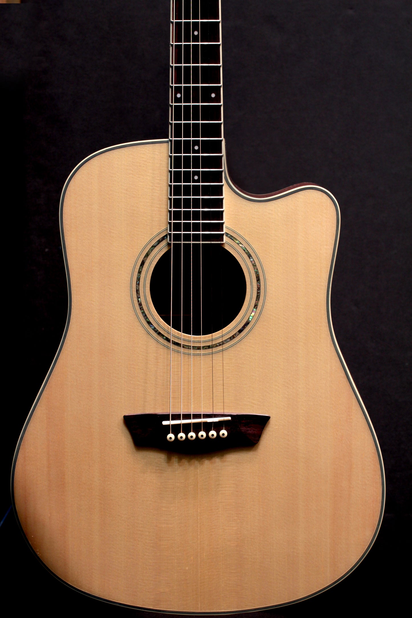 Washburn WCD18CE