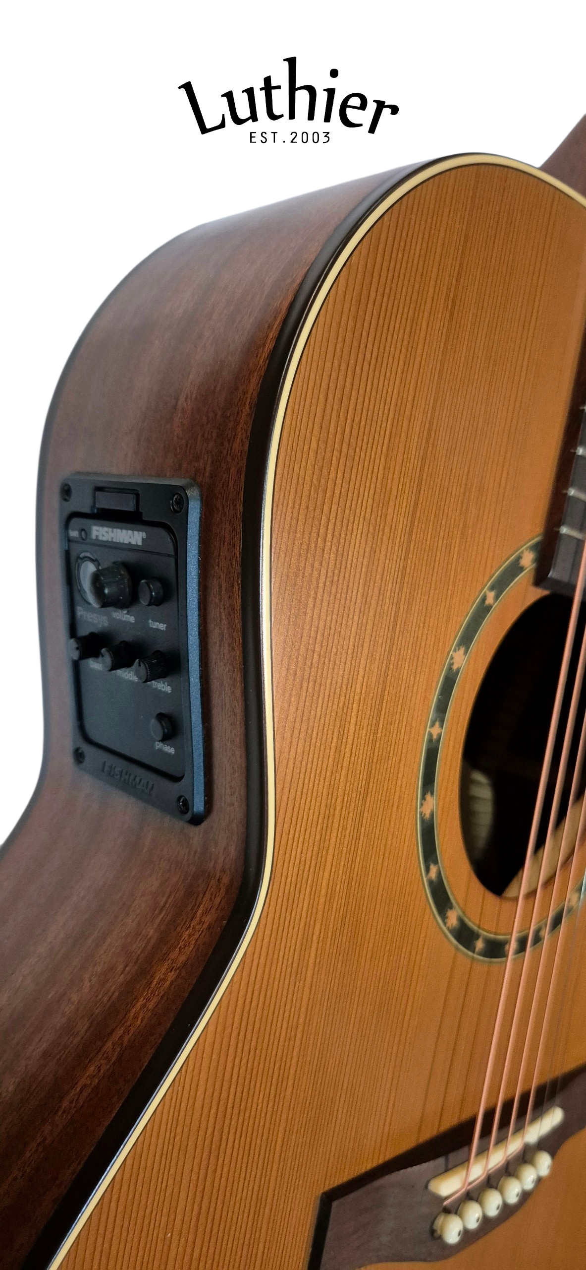 Norman ST40 Folk EQ Fishman Presys
