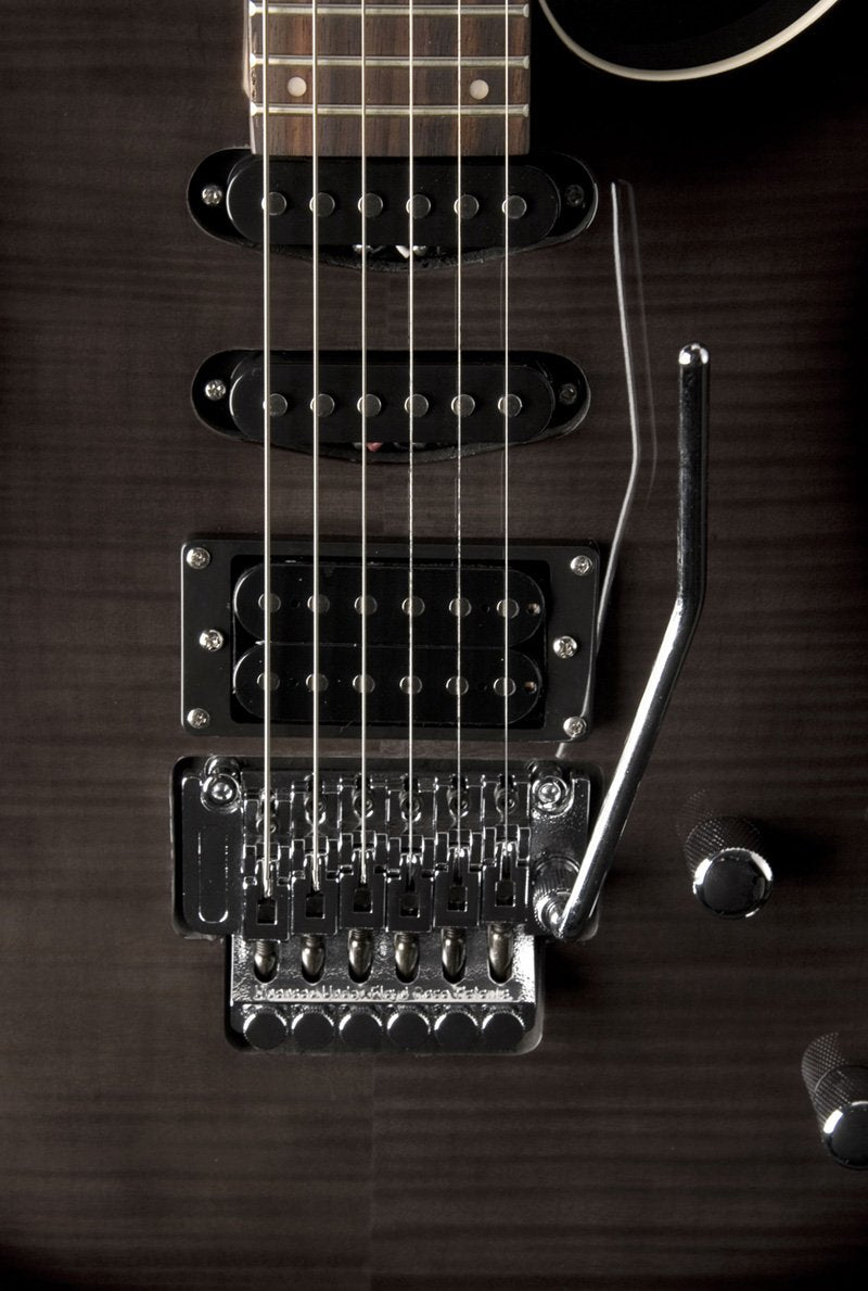 Washburn RX25 Floyd Rose Electric Guitar | Versatile Shred Guitar
