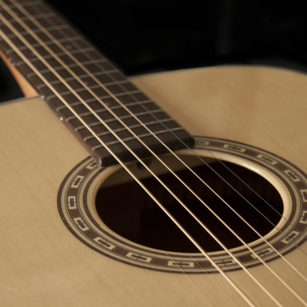 Washburn WD7S Harvest