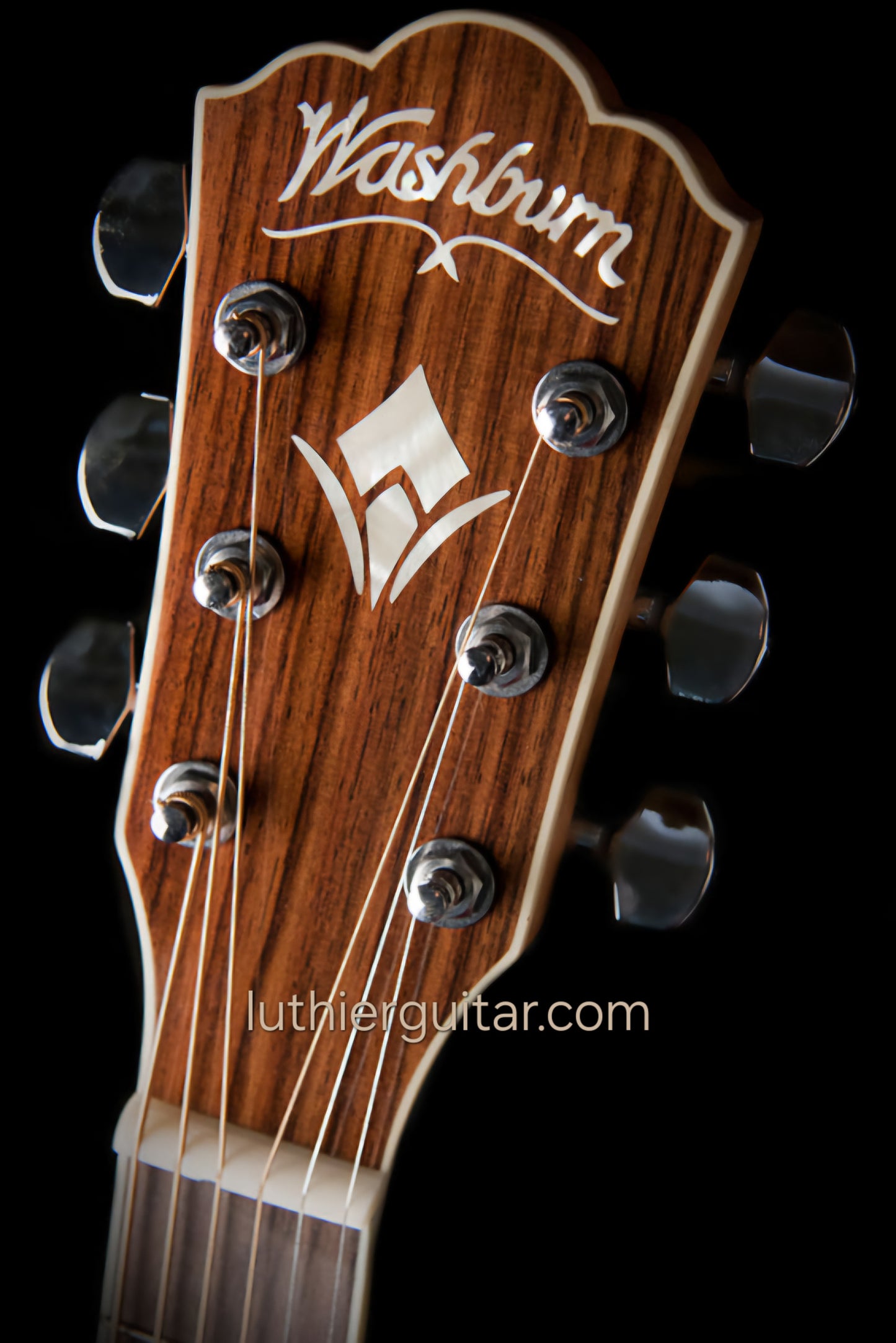 Washburn WD10SNS