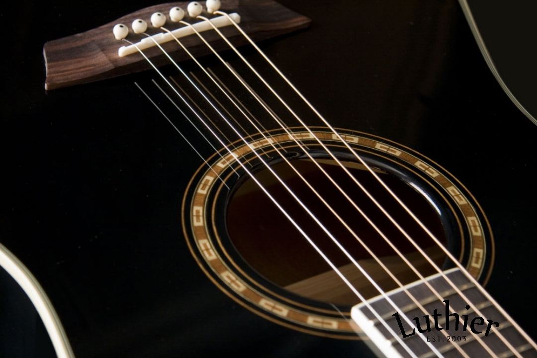 Washburn WD10SBK
