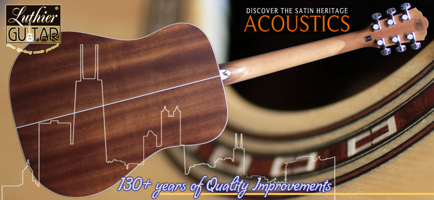 Washburn WD10SNS