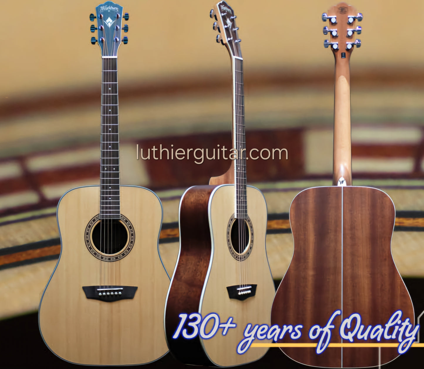 Washburn WD10SNS