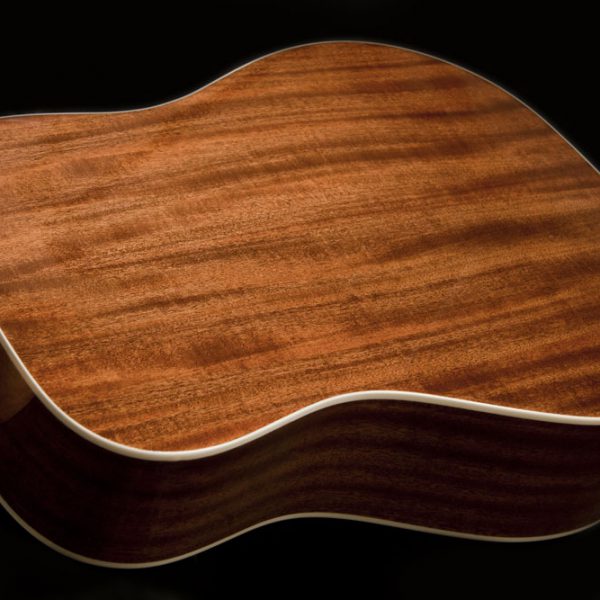 Washburn WD7S Harvest