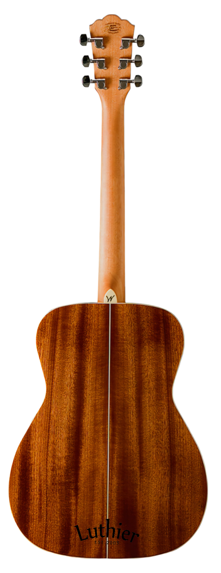 Washburn WF10S