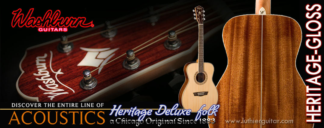 Washburn WF10S