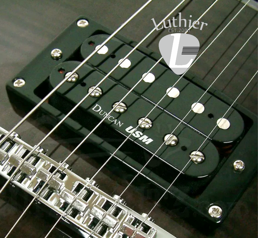Washburn WIN DLX FBB