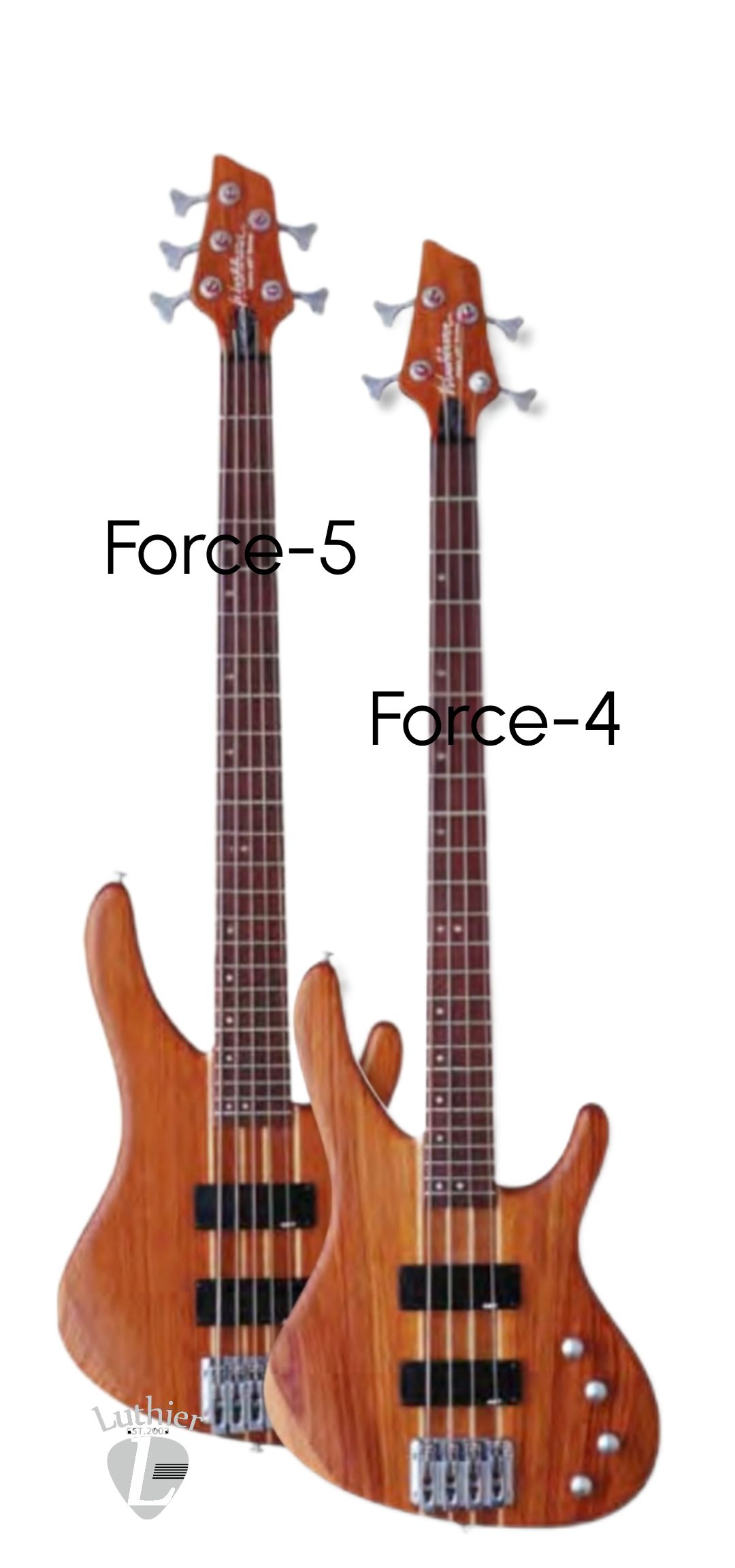 Washburn Bass FORCE-4