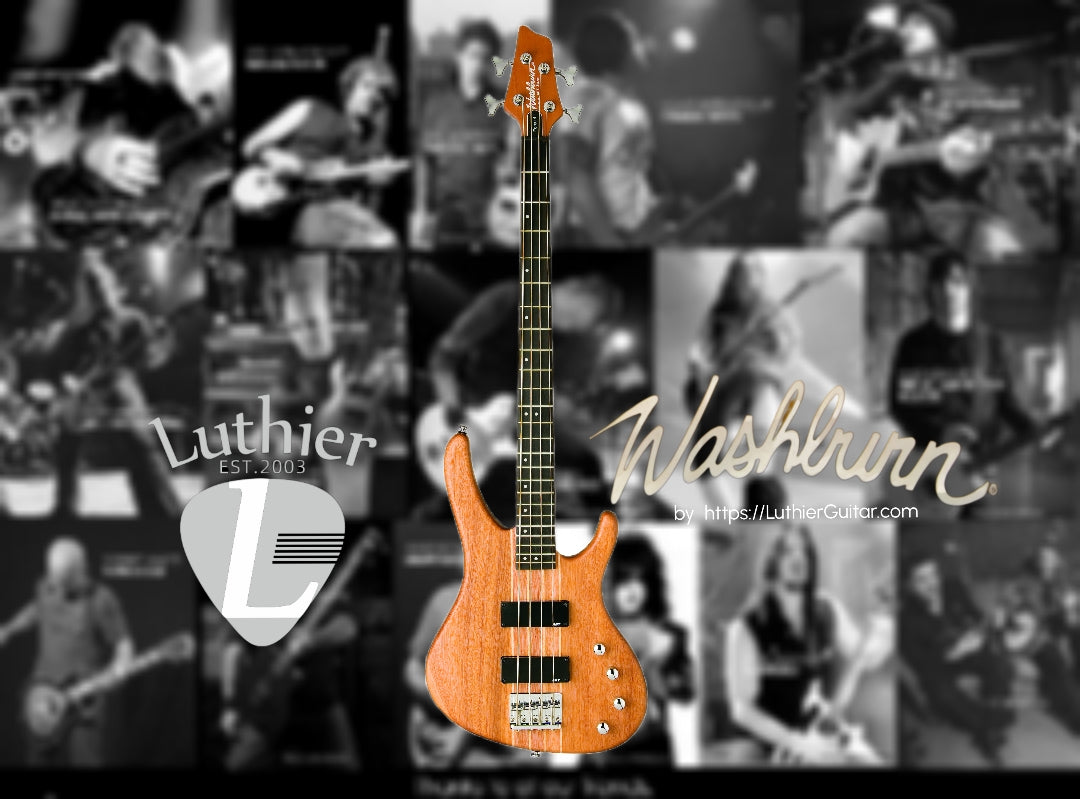 Washburn Bass Force4 Neck thru Body single woodd