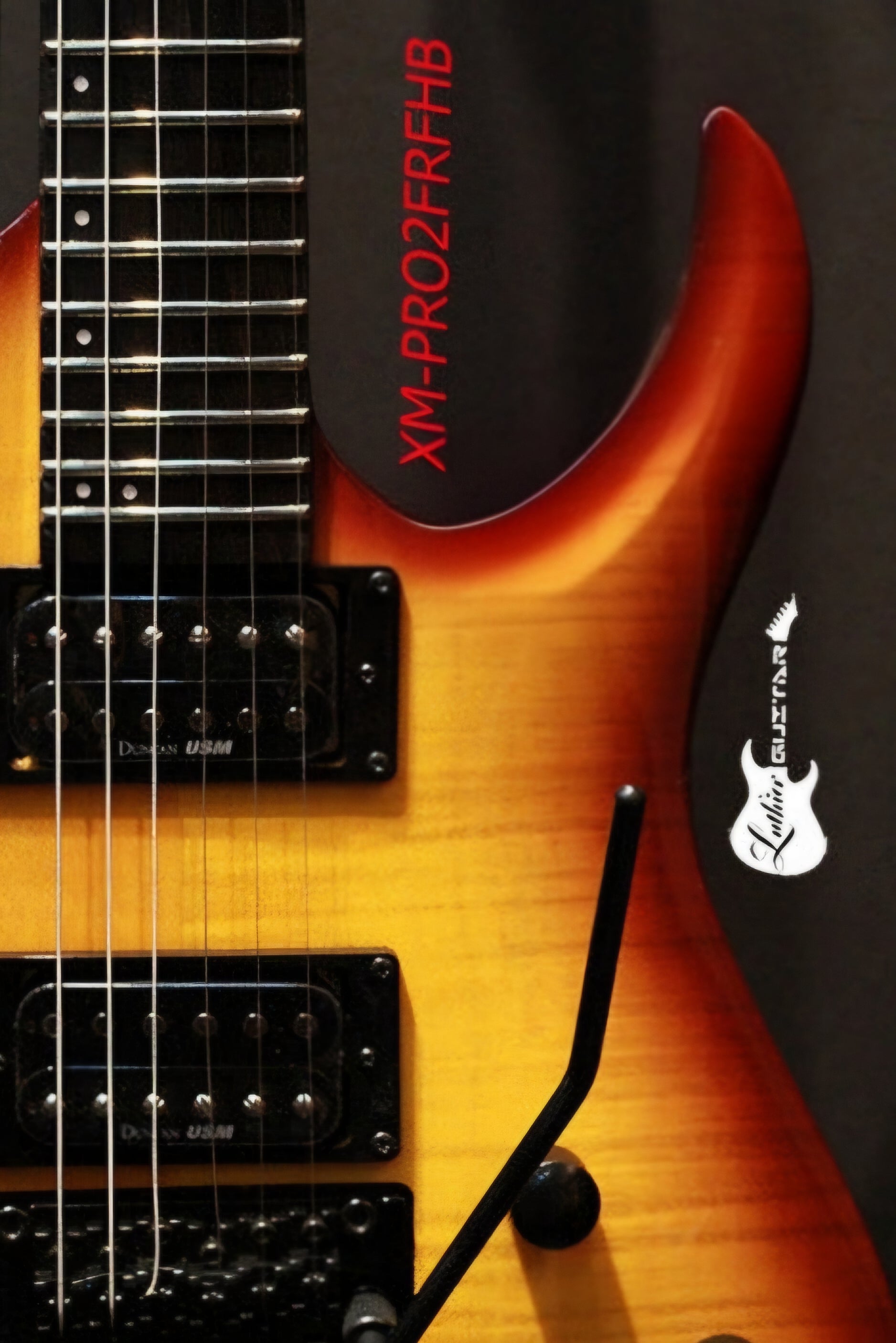 Washburn XM-PRO2-FR floyd-rose – Luthier Guitar