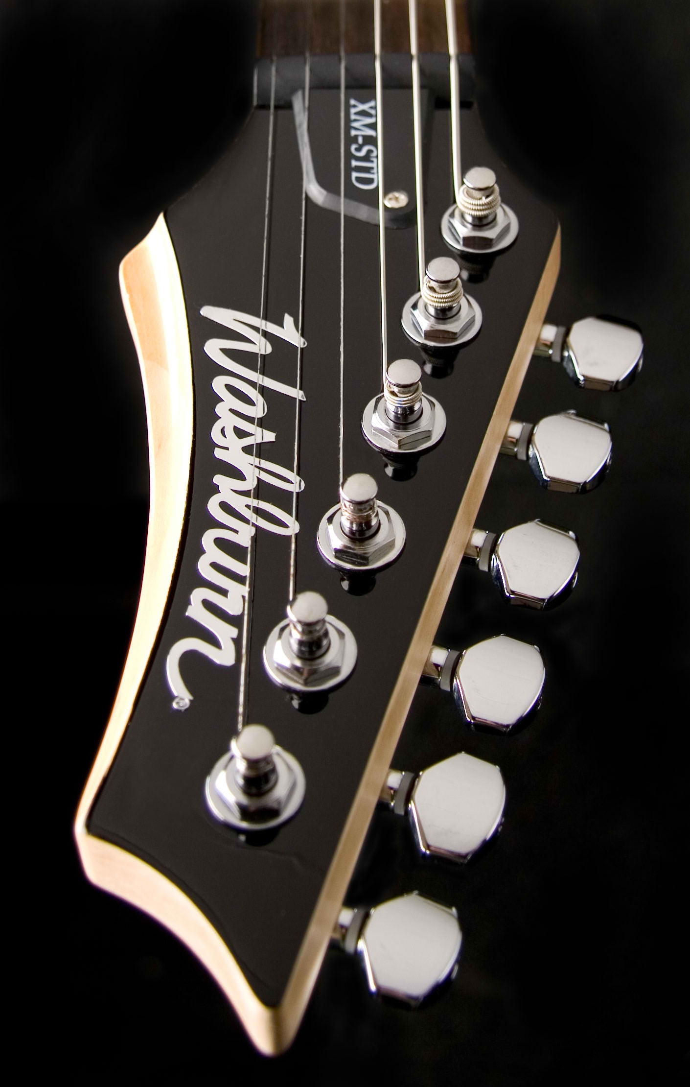 Washburn XM-PRO2-FBB