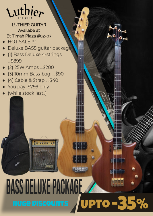 Electric Bass SB-204 deluxe package