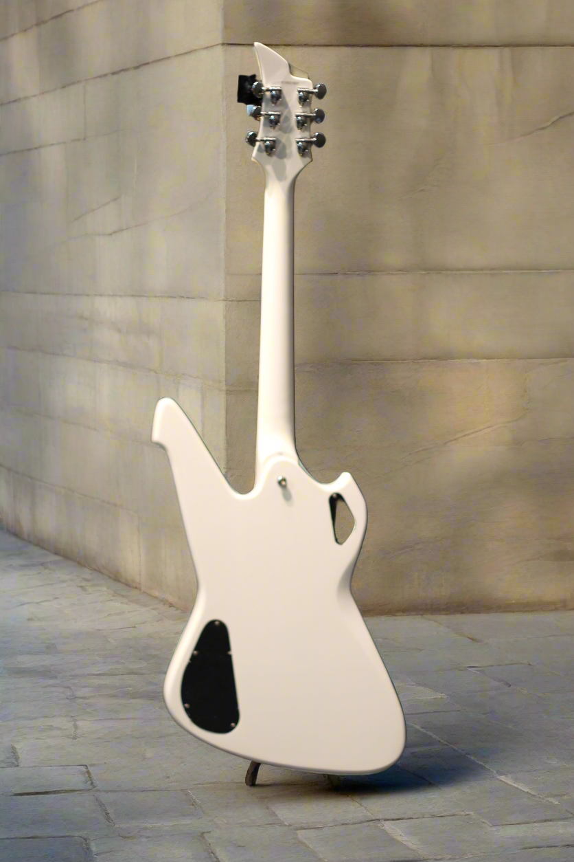 PS1600 Kiss Signature Guitar