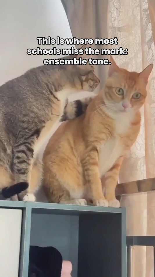 Jose Hernandez Handmade Classical Guitar - Antonio Torres Bracing | School Guitar Ensemble